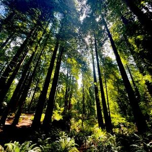 Meet your Posher, Polly